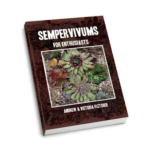 Sempervivums for Enthusiasts